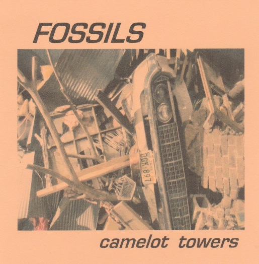fossils-camelot-cover